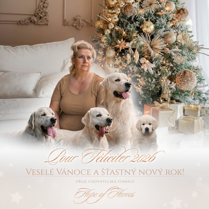 hope of heroes pf2026